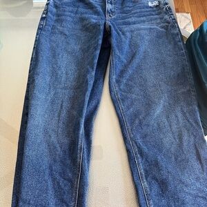 American Eagle Outfitters Curvy Straight Jeans